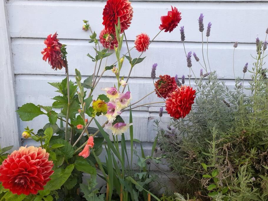 Riverlea Cottage - Cosy, Comfy, Quiet, Central Taumarunui Esterno foto