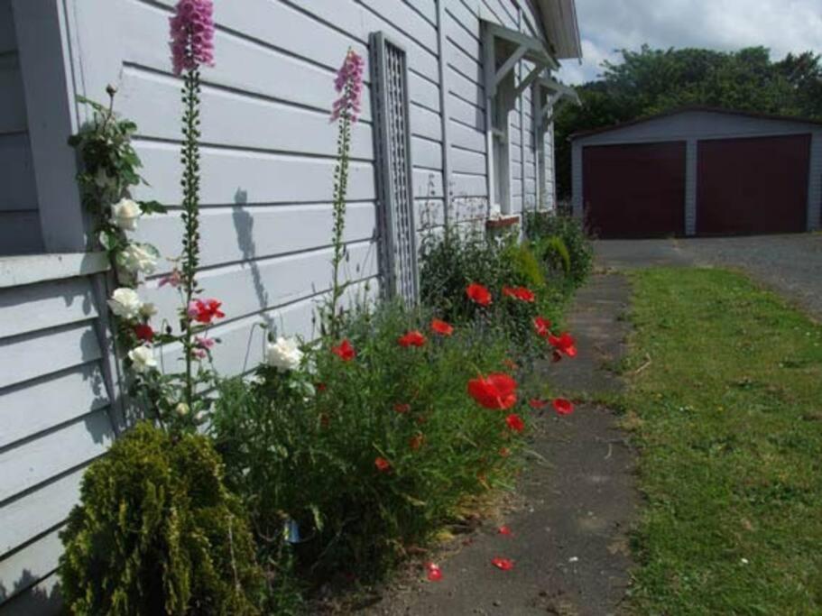 Riverlea Cottage - Cosy, Comfy, Quiet, Central Taumarunui Esterno foto